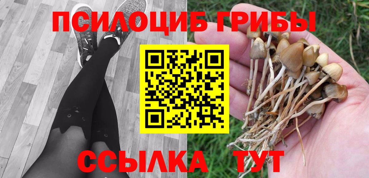 Псилоцибиновые грибы Cubensis  дарнет шоп  Галлюциногенные грибы Cubensis  Горно-Алтайск  Вход с VPN 